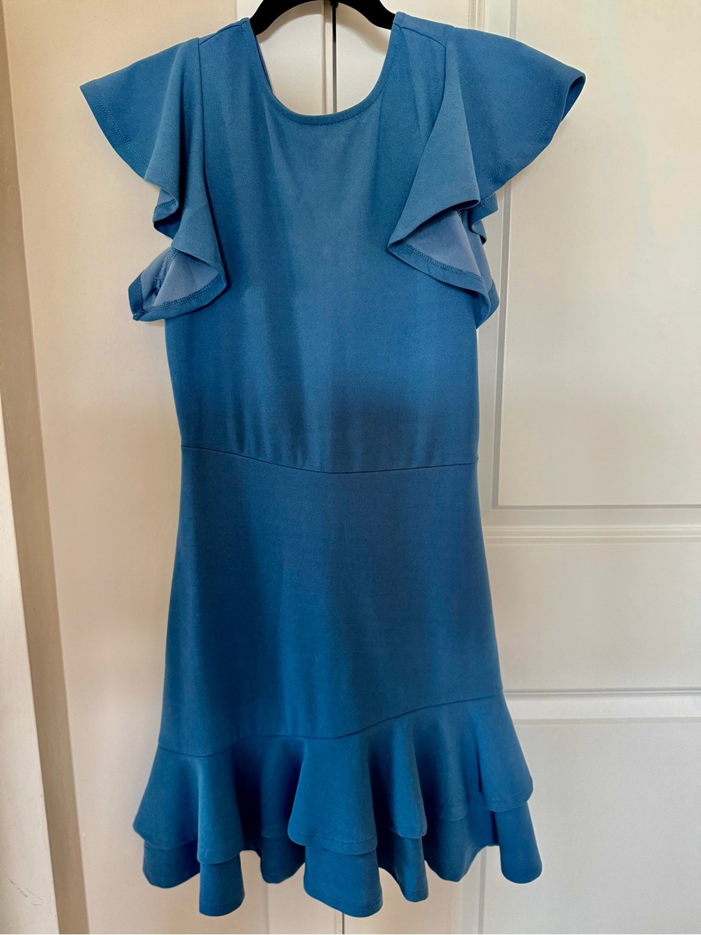 Blue Ruffle Sleeve Dress